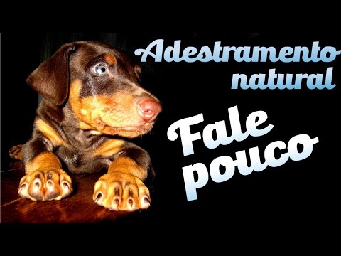 Curso Adestramento natural - 08 - A força / Fale pouco.
