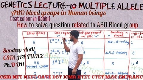 Multiple allele| Multiple allelism|ABO Blood group|Coat colour in Rabbit|GENETICS|CSIR JRF,NEET|