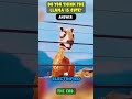 This Lama Was Ungrateful This Lama Was Ungrateful