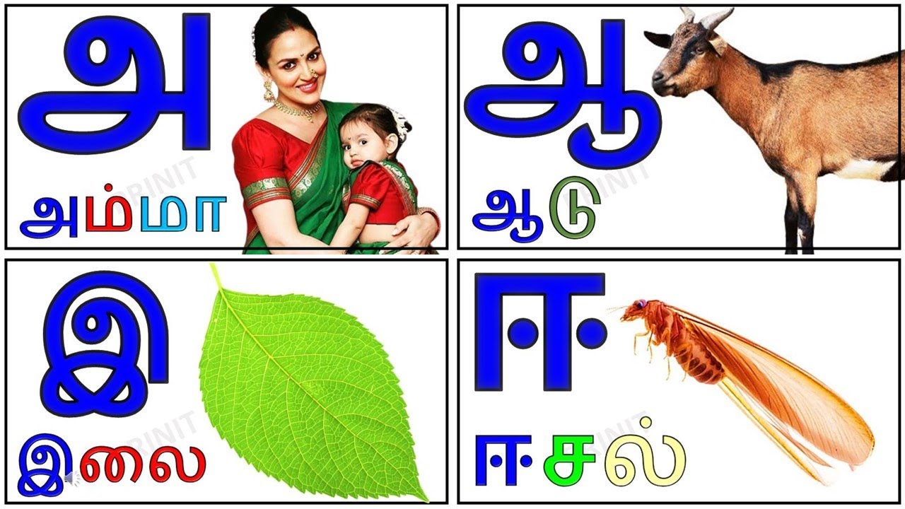 உயிர் எழுத்துக்கள்|அ ஆ இ ஈ அரிச்சுவடி|learn Tamil alphabet letters ...