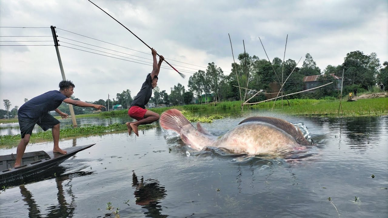 Best Fishing Video🐬 Amazing Fishing video In Mid Water Smart Fisherman ...