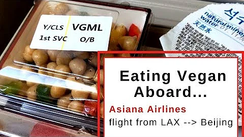 Eating Vegan on Asiana Airlines Flight | LAX to Beijing
