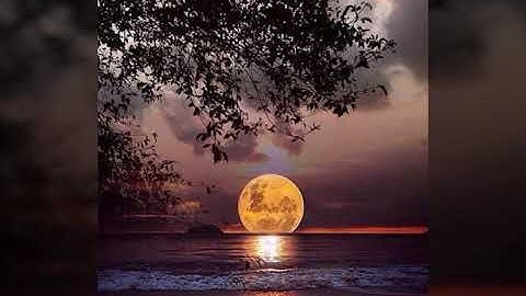 مقاطع من القرآن الكريم لبعض المشاركين في مسابقة في رحاب القرآن 2018