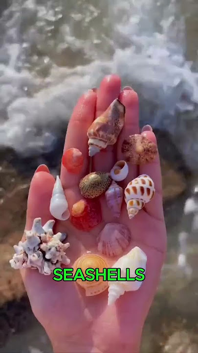 Rare beaches in the world #beach #highlights #highlight #follower