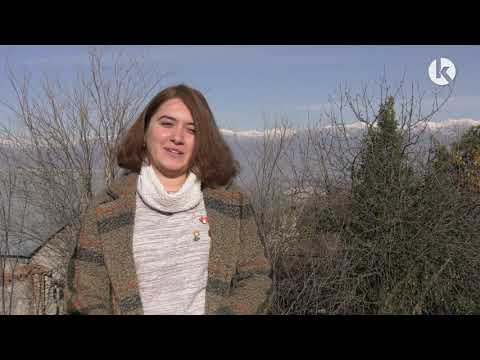 ახალგაზრდების მოსაზრება მოხალისეობაზე