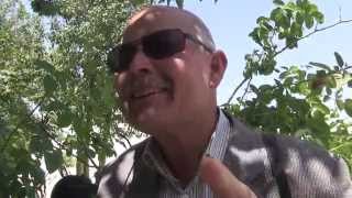 حمدة الوحيشي يغنّي أيضا