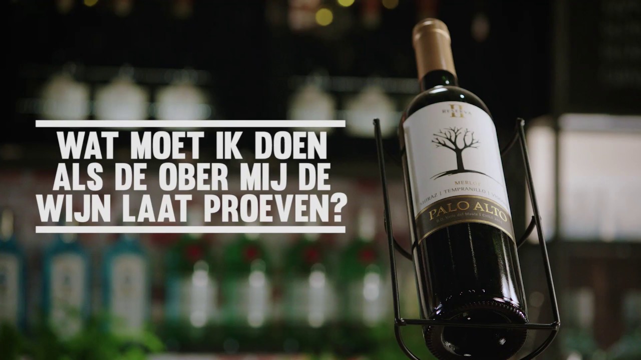 Wijn proeven zo bepaal jij of er geen kurk in de wijn zit YouTube Wijn proeven zo bepaal jij of er geen kurk in de wijn zit YouTube