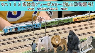 【John玩模型】鐵道模型 #322 TOMIX キハ183系特急｜ディーゼルカー｜旭山動物園號｜4K