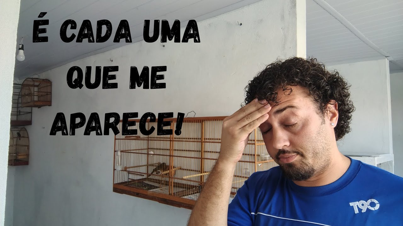 Críticas que já recebi por ser passarinheiro!