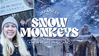 New Years In Nagano | Jigokudani Wild Snow Monkey Park & Zenkō-ji Temple