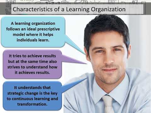 List the Characteristics of a Learning Organization