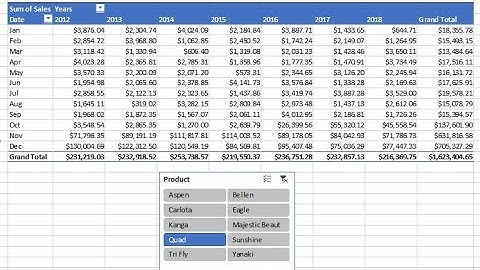Excel Magic Trick 1456: PivotTable & Slicer to Create 8 Year Sales Report by Product & Month