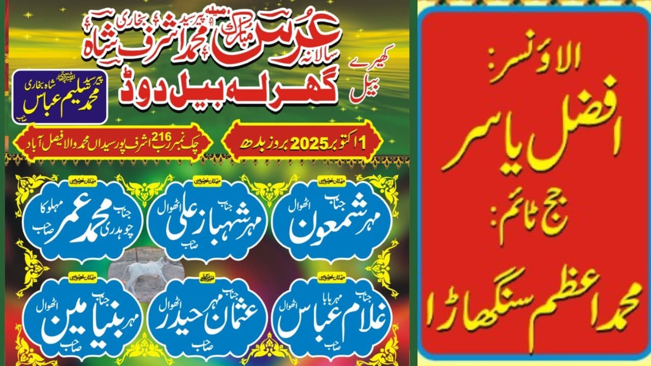 🔴Live Girla Race Tournament Chak 216 RB | 01 October 2025 | Chishti Box Top