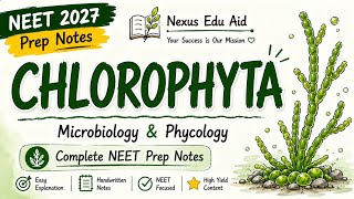 Chlorophyta Complete Chapter 🌿 | Green Algae | B.Sc + NEET 2027 Prep Notes