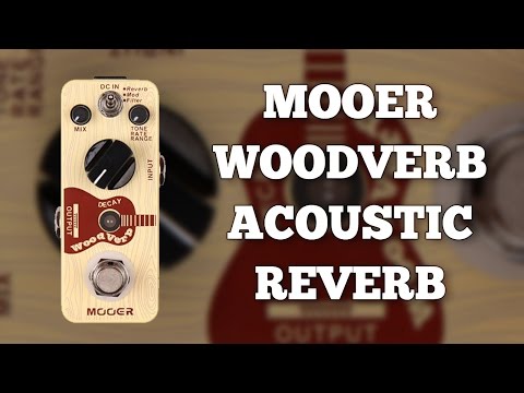 Mooer - Woodverb MRV3 Acoustic Guitar Reverb - Demo - YouTube