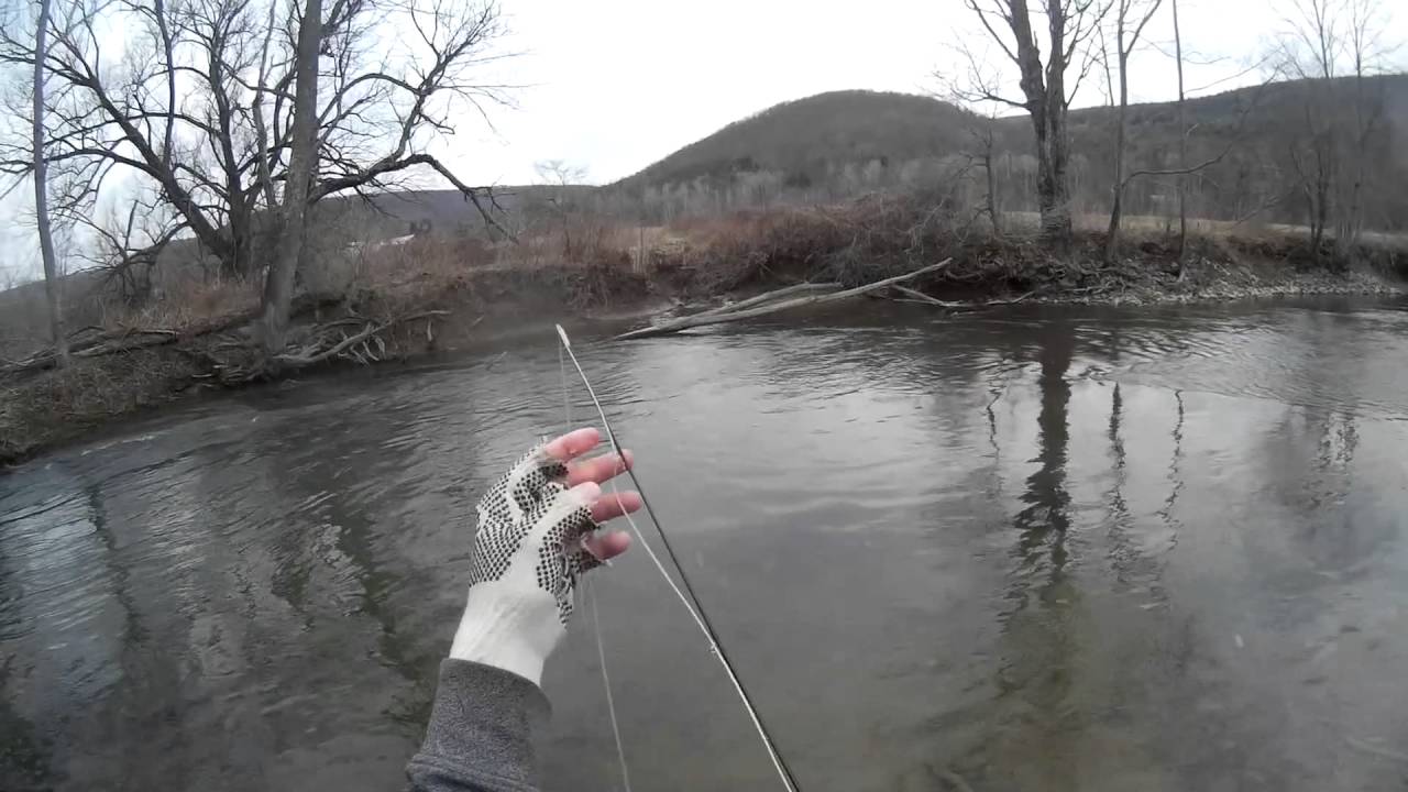 Cayuta Creek, Cayuta New York 2016 YouTube