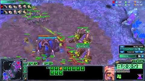 ZvZ Burrow Roach Push vs +1 Lings