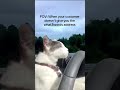 POV: you're a taxi driver