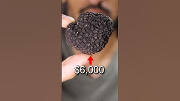 Are Truffles Worth It?