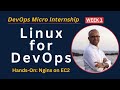 Week 1 - Linux for DevOps Bootcamp: Live Hands-On Workshop | Full Beginner’s for aspiring DevOps