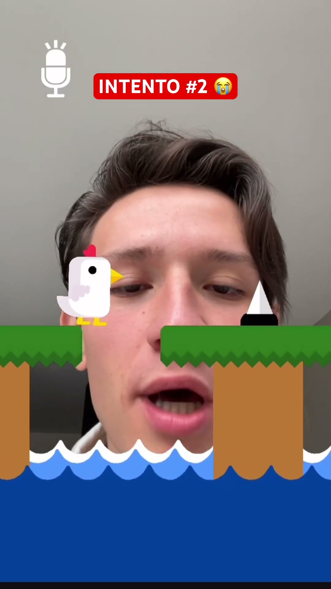 EL JUEGO DEL POLLITO ?