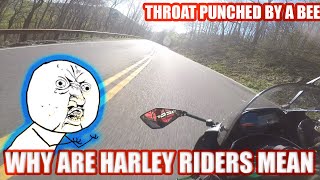 Why Are Harley Riders So Mean Throat Punched By A Bee Motovlogg