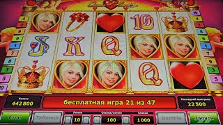 В бонусе поймал 5 СКАТТЕРОВ! | Игровые автоматы в онлайн казино Император screenshot 3