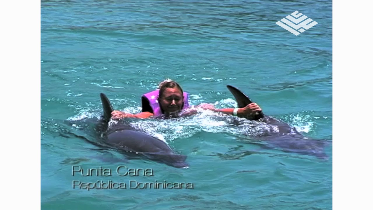 Video y música de Abordaje - Copa Airlines