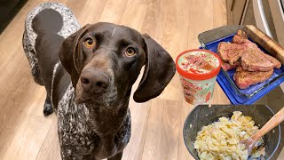 Which One Is My Dogs Favorite? Steak, Chicken Alfredo, or Ice Cream by Tundra The GSP 1,542 views 4 months ago 3 minutes, 1 second