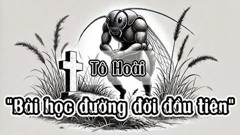 [Audio + Video Văn bản] "Bài học đường đời đầu tiên" - Tô Hoài (Sách Kết nối tri thức và Cánh Diều)