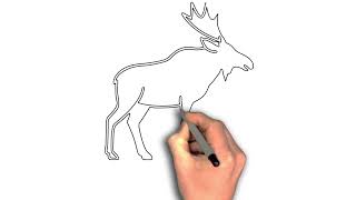 How to Draw a Majestic Moose Step by Step”