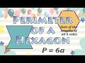 Understanding Hexagon Perimeters