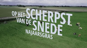 Op het Scherpst van de Snede: Najaarsgras