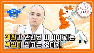 색깔과 관련된 띠 이야기는 백말띠 말고는 없다?! - 교리천재