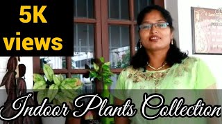 #Indoorplantsintamil #Shemasundar  #indoorplantcollection #airpurifierplant #shemasundar #homedecor screenshot 5