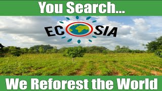 Reforest the World...Jacey Bingler and Ecosia Ecolinks (Planted Over 143 Million Trees)