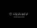 سوره الاخلاص شاشه سوداء