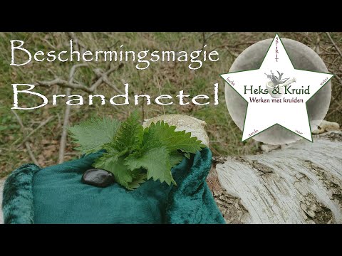 Video: Topdressing Met Brandnetels - Nuttig En Effektief