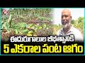 Strong Gusty winds Damages 5 Acres Of papaya Crop at Mahabubnagar | V6 News