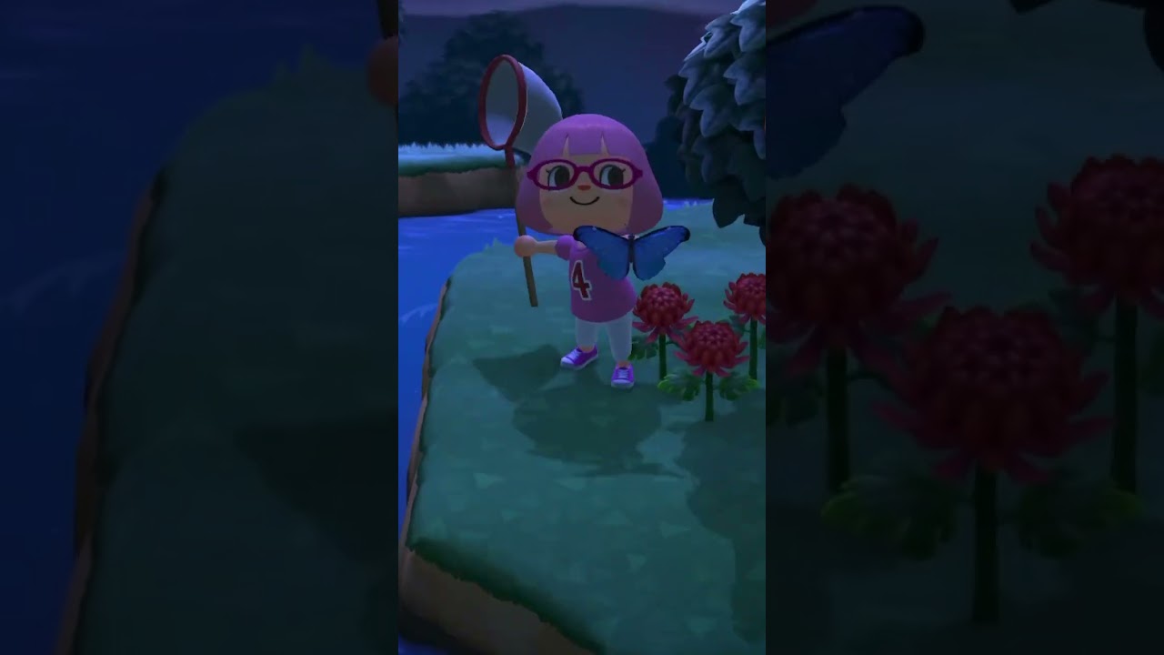 I caught an emperor butterfly 