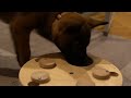 Kaida solves a puzzle