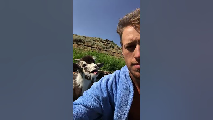 Human vs Goat Argument #animals #babyanimals #goat #pets #animalshorts #funny #farm #farmanimals
