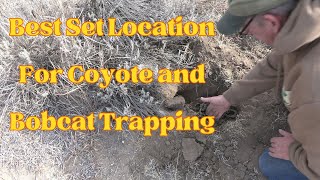 One Of My Best Set Locations For Coyote And Bobcat Trapping