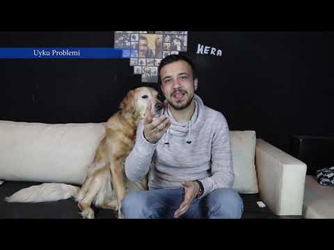 Video: Köpeğe 