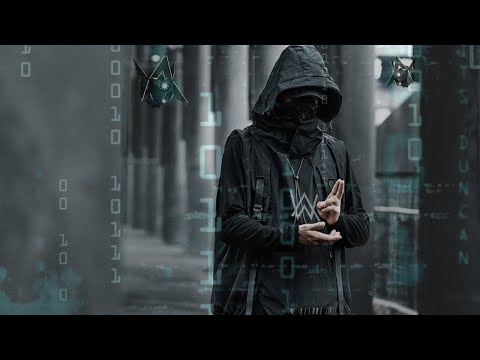 Alan Walker Style,