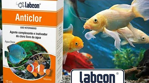 Como colocar AntiCloro no aquário?