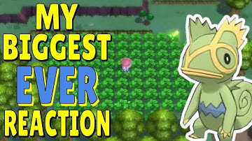 TWO FULL ODDS SHINIES WHILE GOING 4x OVER ODDS - Pokemon Brilliant Diamond Shining Pearl