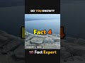 Globetrotting Trivia: Amazing Geography &amp; Travel Facts | Fact Expert Shots