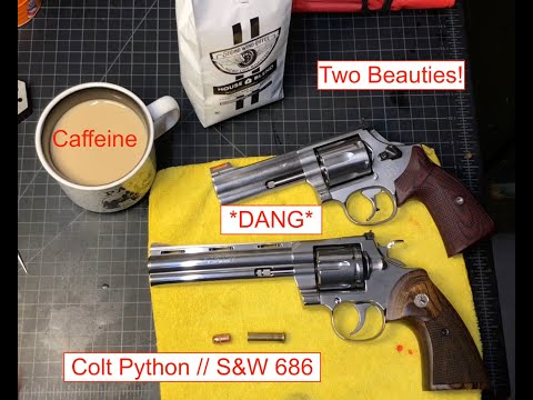 Two Icons // Comparable? //2020 Colt Python - S&W 686-1 (Ep.18) #colt