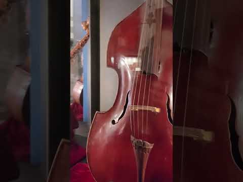 Viola da Gamba by Natale Carletti, Pieve di Cento, 1940 - Museo della Musica, Venice - #shorts